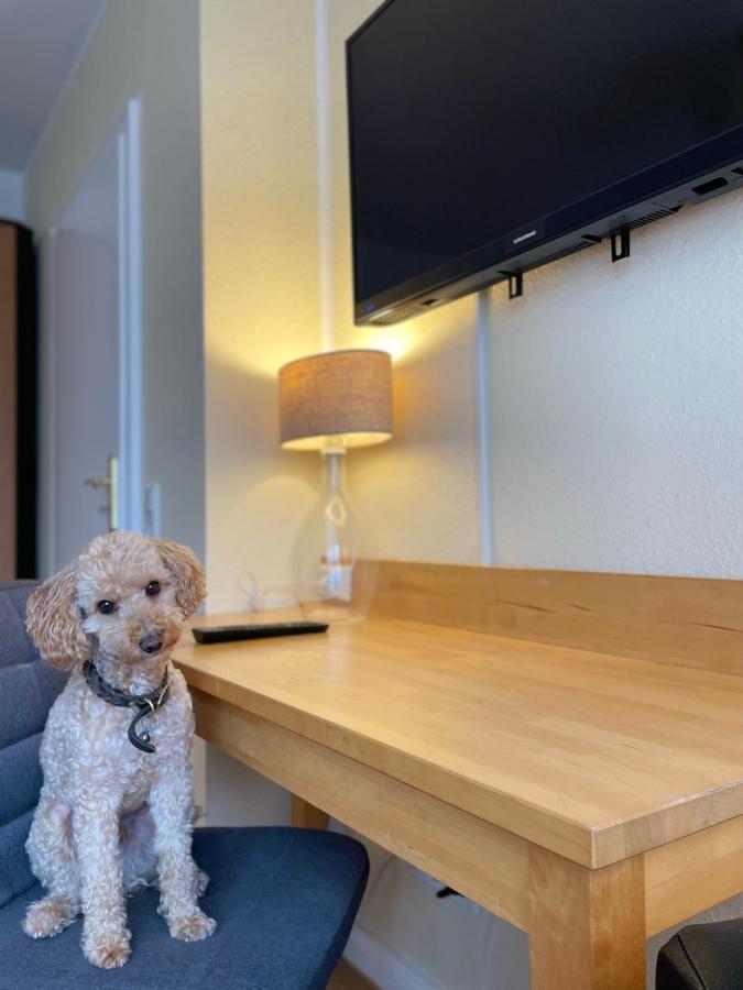 Apartmenthaus Sonnen Düsseldorf Exteriér fotografie